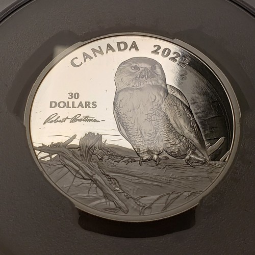 2022 2 oz .9999 Silver Canada Snowy Owl PCGS PR 70 DCAM - Susanna Blunt - F9510 - Bild 8 von 10