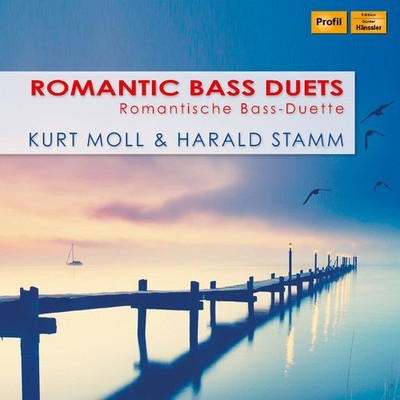 DVORAK / STAMM / GRUNELIUS - ROMANTIC BASS DUETS NEW CD