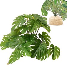 Reptile Plants for Terrarium Decor,Amphibian Habitat Decor,Artificial Plants ...