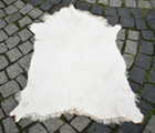 Bild 9 von 9