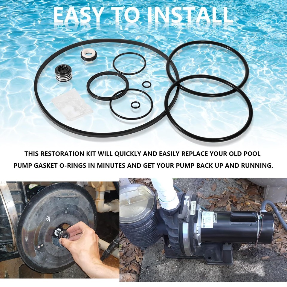 Pentair Dynamo Schwimmbadpumpe Reparatur-Kit – O-Ringe & Dichtungen Für Den Umbau