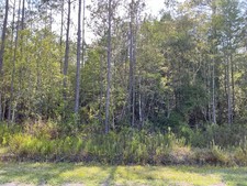 Acre Lot Available Near St Augustine - Mobile Homes / RVs Allowed!