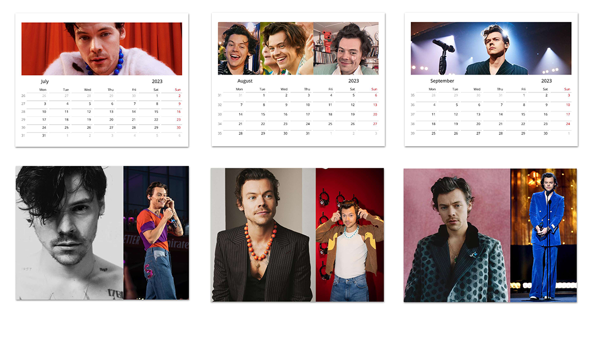Harry Styles 1D 2023 Wall Calendar, Harry Styles gift,Harry Styles PHOTOS  POSTER | eBay