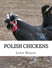 Polish Chickens: From the Book of Poultry - Paperback NEW Wright, Lewis 01/11/20