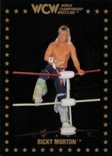 1991 Championship Marketing WCW #102 Ricky Morton