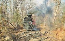 Postcard Pine Creek Railroad Engine No 6 in the Woods Farmingdale New Jersey NJ