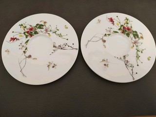 2X Rosenthal Brillance Fleurs Sauvages Untertasse 15 2 cm neuwertig