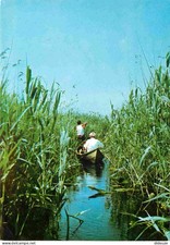 Romania - Romania - Delta Dunarii - In the Danube Delta - CPM - See Scans