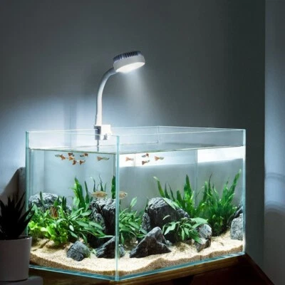 MT AQUATICS 5W USB Full Spectrum Aquarium Light, Small Clip Light for Fish Tank