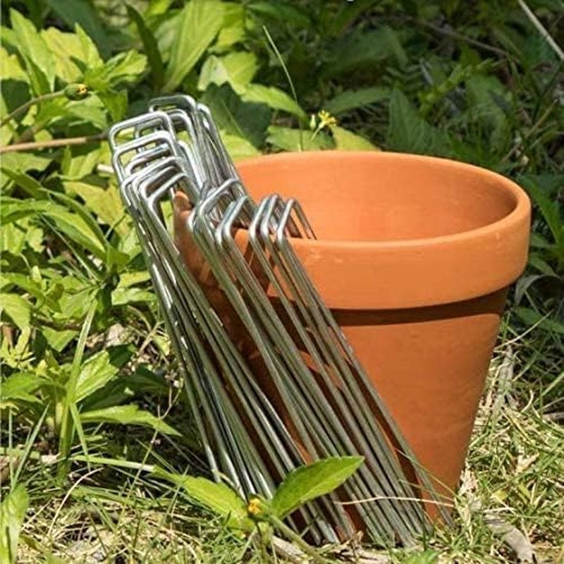 Landscape Staples Garden Stakes Galvanized Pins 50pcs HeavyDuty 6