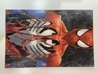 Amazing Spider-Man #31 Tyler Kirkham Exclusive Virgin Variant
