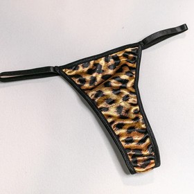 Sexy leopard print lingerie set.