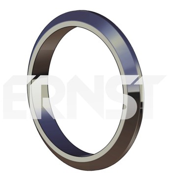 Ernst Dichtring Abgasrohr FüR Peugeot Boxer Fiat Ducato Citroen Jumper-image