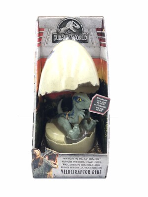 VELOCIRAPTOR BLUE Jurassic World Baby Dinosaur Hatch 'n Play Dinos Egg  -Mattel