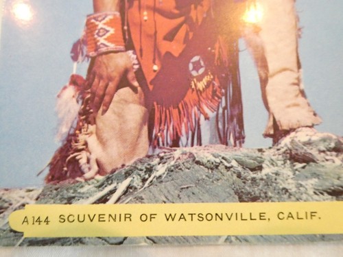 VINTAGE NATIVE AMERICAN COLOR POSTCARD - UNUSED, EXCELLENT!! - Picture 3 of 4