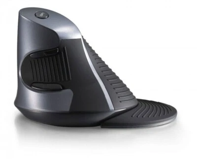 Souris ergonomique verticale optique Delux M618GL - Sans fil - DeLUX