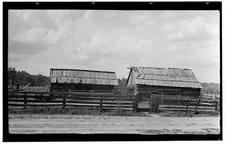 Carter Farms,State Route 1100,Gatesville,Gates County,NC,North Carolina,HABS