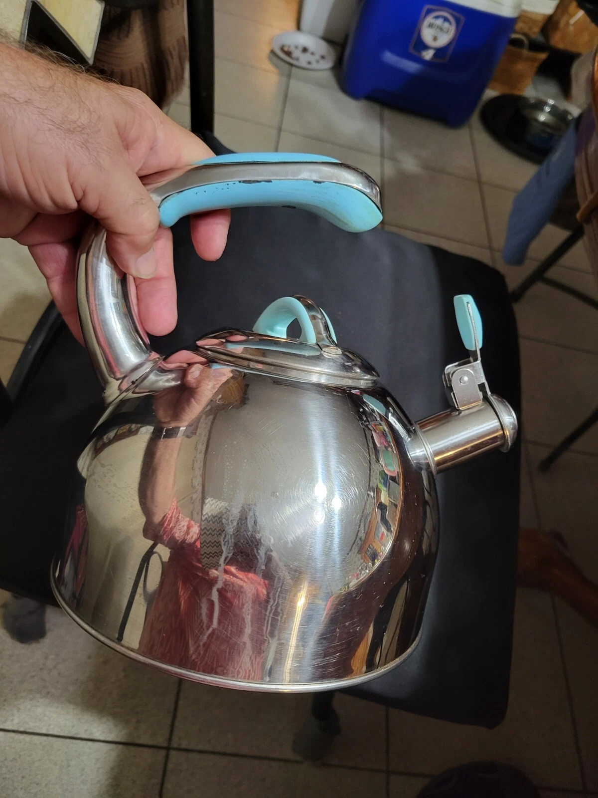 Vivid Kitchen 2.5 Qt Whistling Tea Kettle Stainless Steel w Turquoise Trim