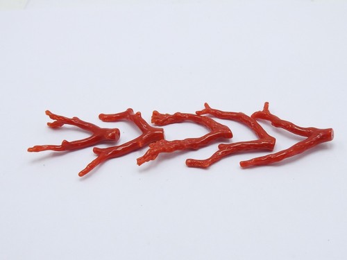 Natural Red Coral Rough Stick Branches Lot 5Piece 36X3To31X4MM Approx Polished - Picture 11 of 12