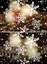 Indoor Blizzard Snow Falling LED Moving Laser Precision ...