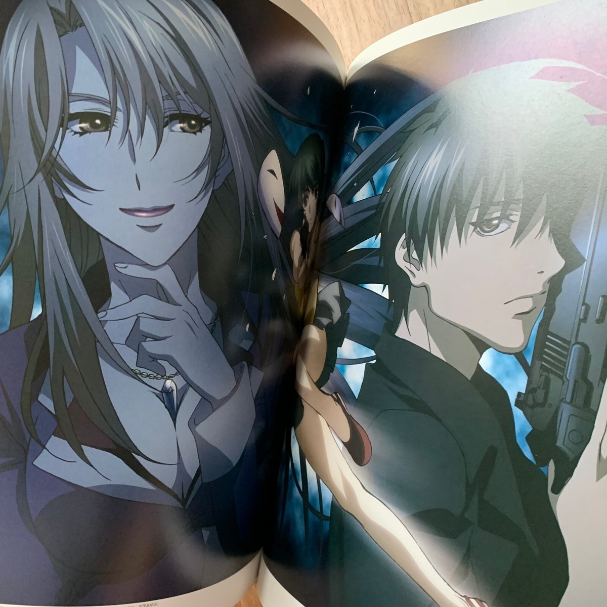Phantom Requiem for the Phantom Official Complete Guide Book