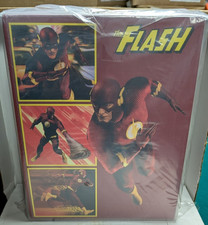 Authentic Mezco Toyz One 12 Collective The Flash Action Figure 2016 DC Comic New