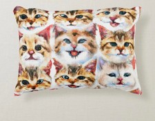 Accent Pillow