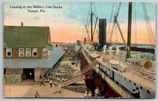 Vintage Tampa FL Mallory Line Docks Postcard 1916 Steamer Loading AA65
