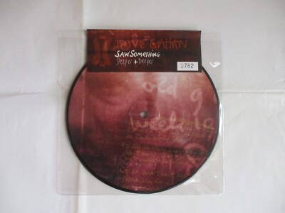 DAVE GAHAN - SAW SOMETHING - 7'' PICTURE DISC VINYL BRANDNEU 2008