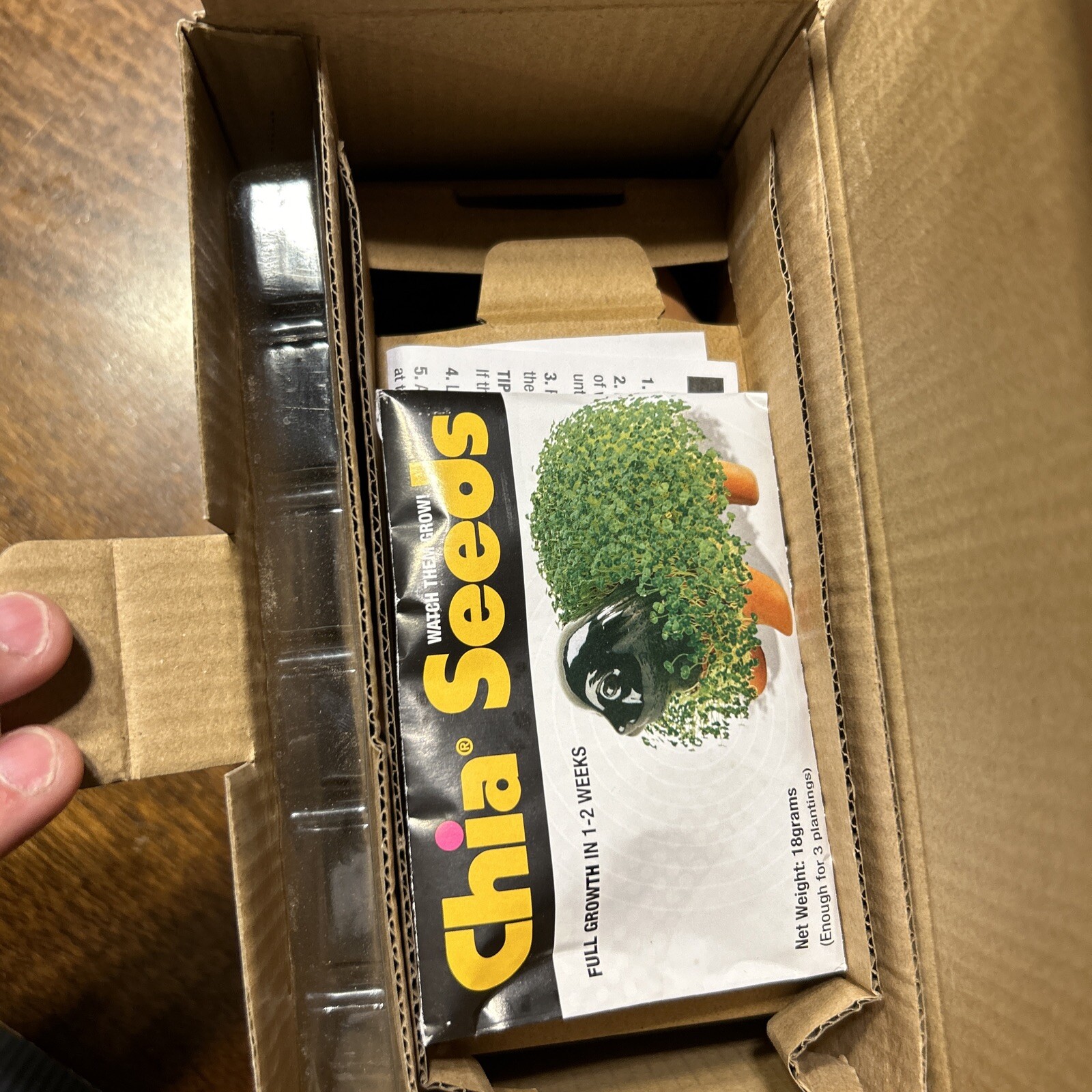 Springtime Rivers Cuomo Chia Pet Weezer SZNZ Rare! eBay