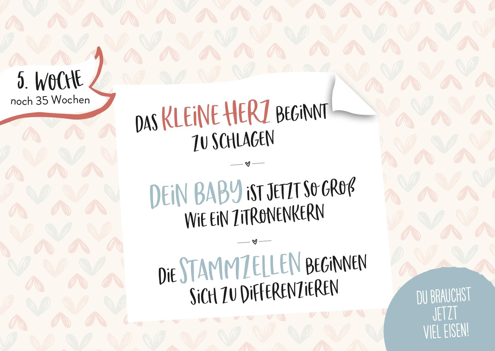 Thumbnail - Groh Redaktionsteam Ein Kleines Wunder Wächst Heran.