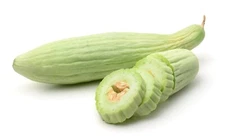 Cucumber Seeds - Armenian Cucumber - 1.grams