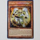 Foto 1 di 2