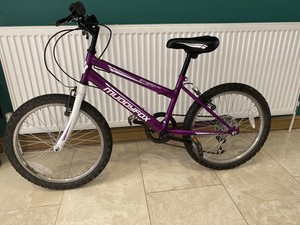 muddyfox girls mountain bike