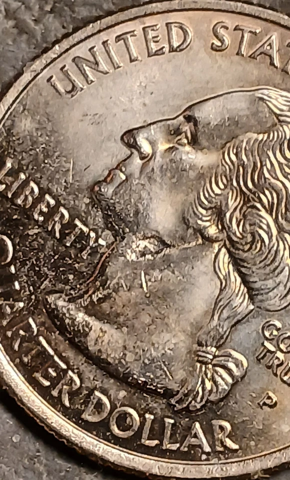 2008 P Hawaii State Hood Quarter Strike Through Error UNC Condition - Image 2 of 4