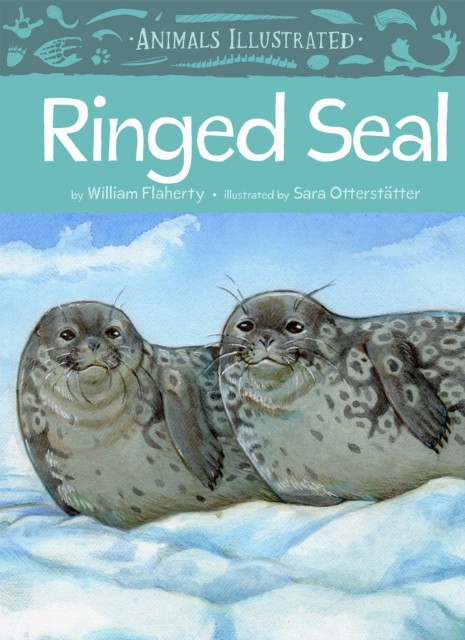 Animals Illustrated: Ringed Seal by William Flaherty (Hardback Book)