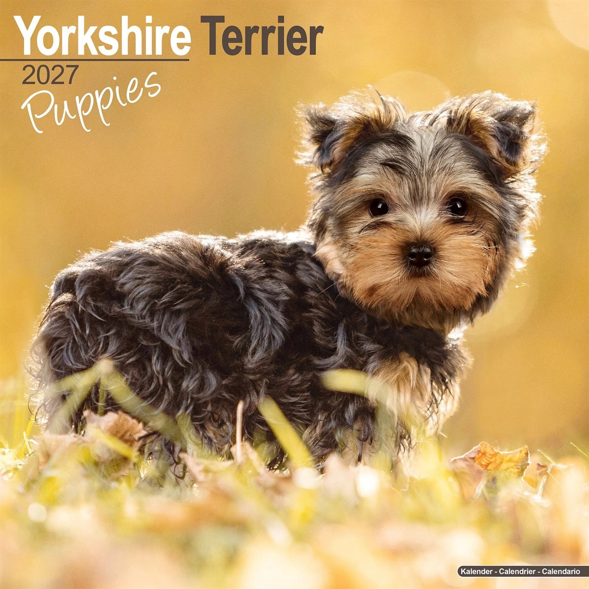 Yorkshire Terrier Puppies Calendar 2027, Wall Calendars, Month To View, Gift