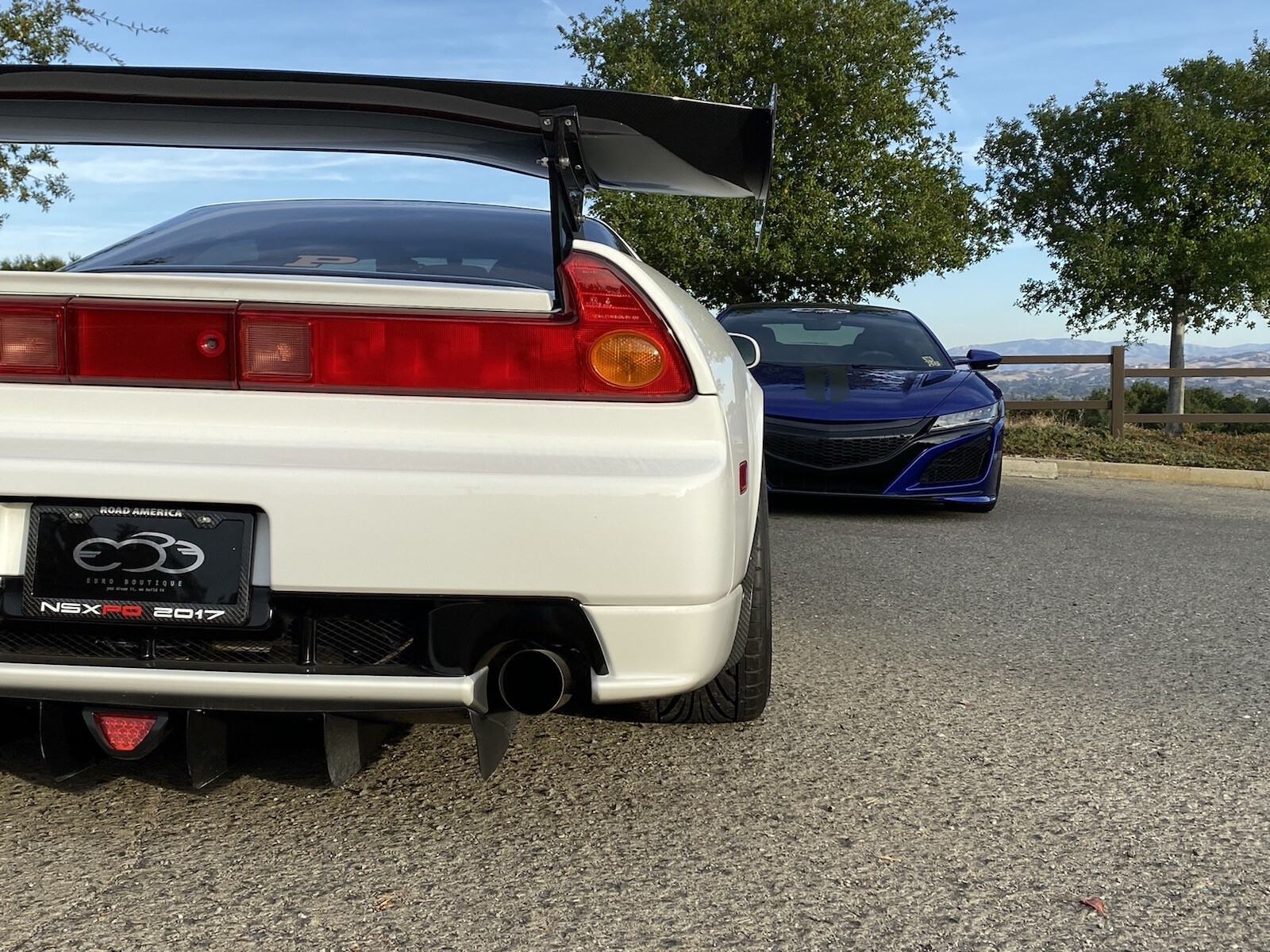 1991 - 2005 Acura NSX Carbon Fiber Rock Guards by Euroboutique