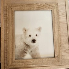 Room Essentials Alabaster Oak Frame w/ Baby Polar Bear Art