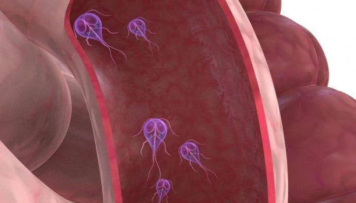 Boost Kidney Health - Complejo probiótico 40 mil millones de UFC - Tabletas probióticas 1B Foto 3 de 4