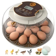 Incubators for Hatching Eggs,18 Egg Incubator with Automatic Egg Turning and ...