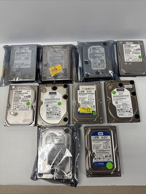   Lot of 10 × 3.5'' Desktop Hard Drives   Major Brands   Tested   Low Usage