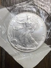 2001 1 oz Silver American Eagle (Brilliant Uncirculated) MS