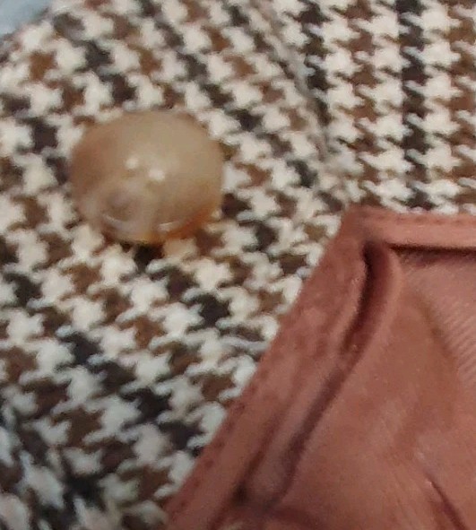 MASSIMO DUTTI Trousers Womens UK 8 Brown Mix Houndstooth W28" L25" Vgc  thumbnail 11