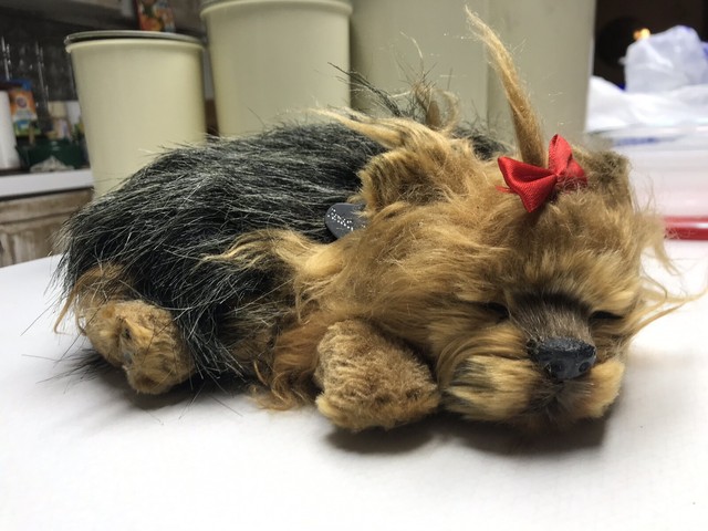 perfect petzzz german shepherd