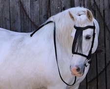 Trense Spanisch PAOLO Stirnband geschwungen Schwarz + Zügel VB WB XFULL Tysons