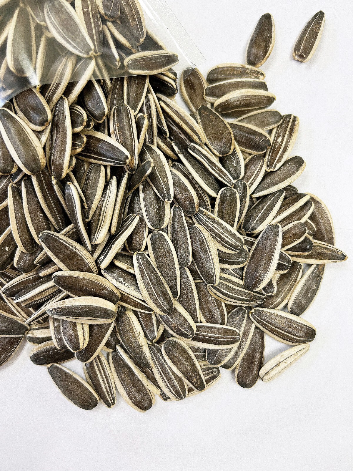 Raw Premium LARGE Jumbo SUNFLOWER SEEDS in shell Vegan Fresh Bulk