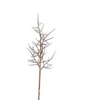 Artplants KüNstlicher Zweig Christusdornen Otto, Braun, 75Cm
