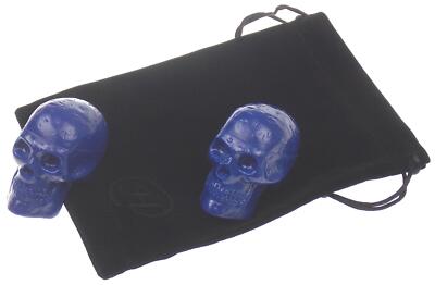 2 Blue Skull Shaker Percussion Bag Stress Relief Music Maraca Instrument Gift