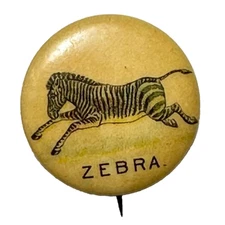 ZEBRA 1890s Pepsin Gum 7/8 " Celluloid Pinback Button